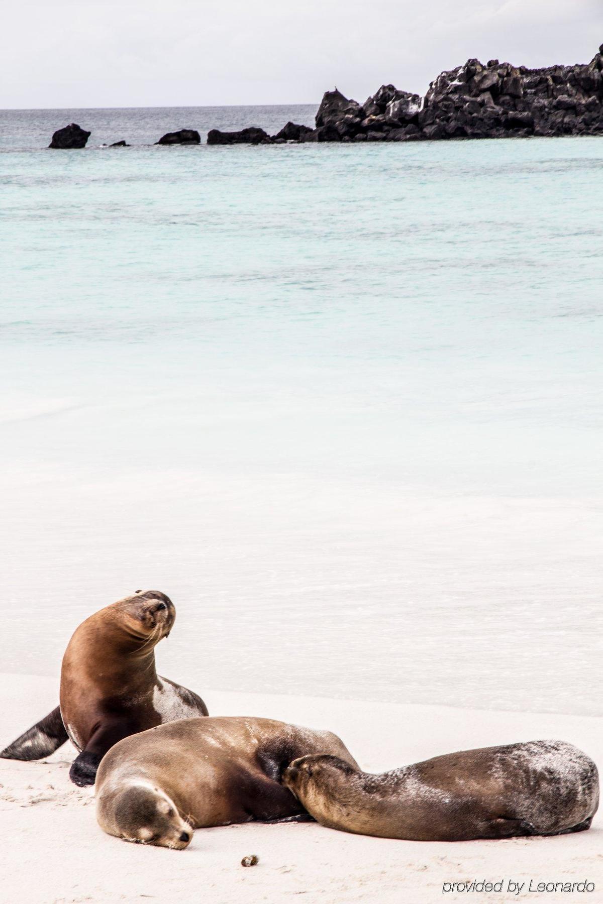 פורטו איורה Finch Bay Galapagos Hotel מראה חיצוני תמונה